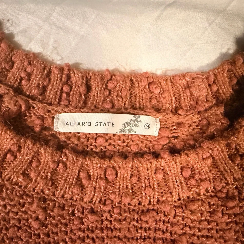 Altar'd State Terracotta Crew Neck Sweater - Picture 6 of 9